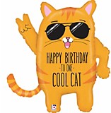 HB TO COOL CAT / Кот 