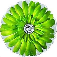 Цветок Гербера (зелёный)