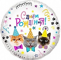 С ДР Котики