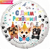 С ДР, Собачки