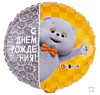 С ДР Кот Басик