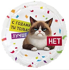 С годами ты только лучше Кот сердитый