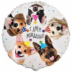 С ДР Собачки фотографичные