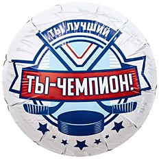 Ты Чемпион - хоккеист