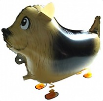 Фокстерьер