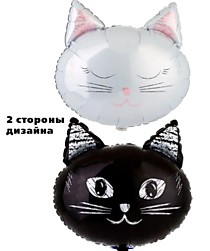 Котики