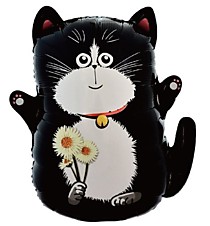 Кот чёрный с букетом ромашек