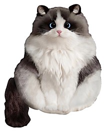 Кот пушистый