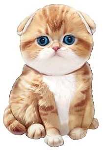 Кот рыжий с голубыми глазами