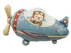 Самолёт с медведем