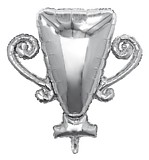 Кубок серебро