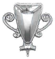 Кубок серебро