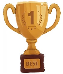 Кубок Чемпиона №1
