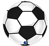 Сфера Футбольный мяч