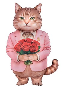 Кот романтик