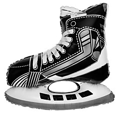 Ледовый конёк