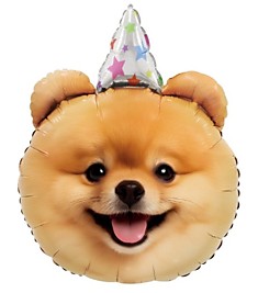 Собачка в колпачке