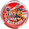 Тарелки Щенячий патруль, С ДР